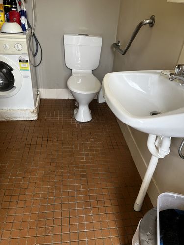 Customer photo review of SHYN DEGREASER