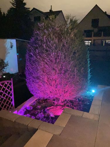 Customer photo review of Smarte Outdoor LED-Gartenspots Flores, 3er-Set
