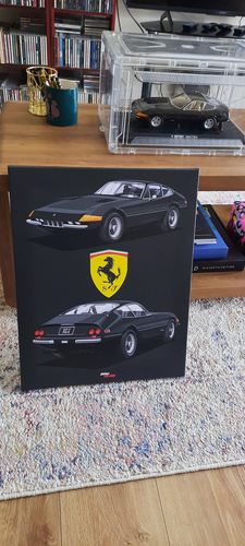 Customer photo review of Canvas