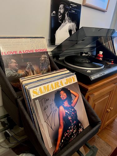 Customer photo review of Record Roots Tabletop Storage System