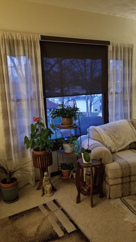 Customer photo review of SmartWings Motorized Light Filtering Solar Shades 5% Openness Aventus