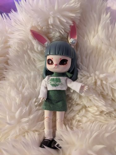 Customer photo review of Bonnie The Journey Of Streets Action Figure BJD Blind Box【Pre-order in March / April】