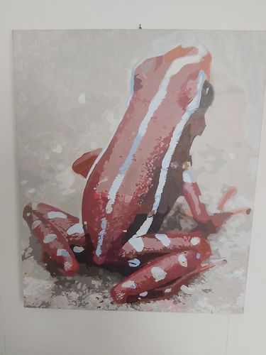 Kundenbewertung mit Foto zu Malen nach Zahlen - Dein Wunschmotiv