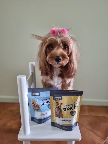 Customer photo review of Chicken Jerky - Dog Treats