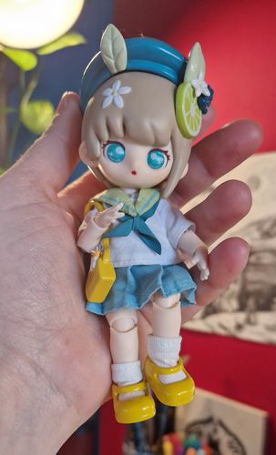 Customer photo review of Teennar Campus BJD Blind Box