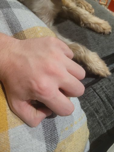 Customer photo review of Crown Ring (Gold)