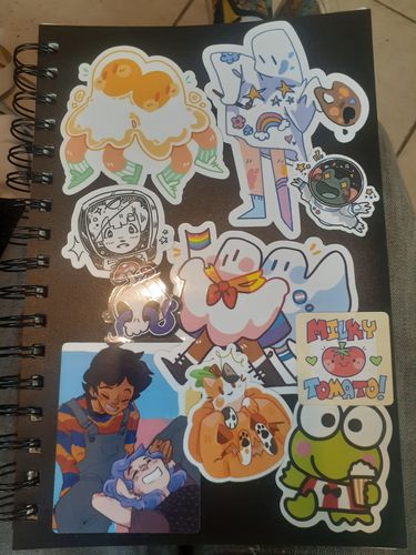 Customer photo review of Luz and Amity TOH Sticker