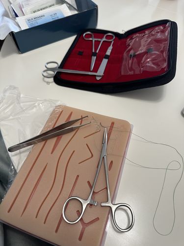 Customer photo review of Suture Practice Kit