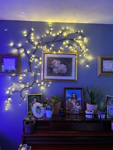 Customer photo review of Enchanted Willow Vine — LitLamp™