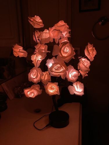 Customer photo review of Charming Rose Tree — LITLAMP™