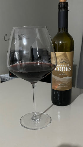 Customer photo review of Kit com 2 Taças em Cristal GrandVino Bourgogne 950ml