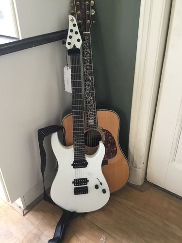 Customer photo review of Donner DMT-100 E-Gitarre
