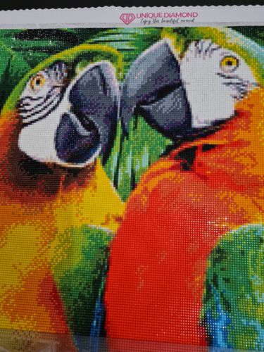 Customer photo review of 5D Diamond Painting Zwei Papageien
