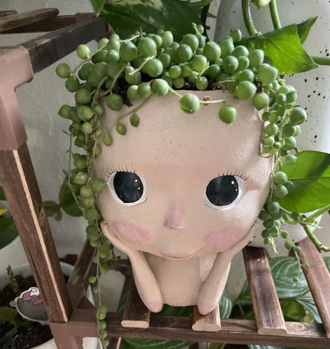 Customer photo review of String of Pearls | Senecio Rowleyanus