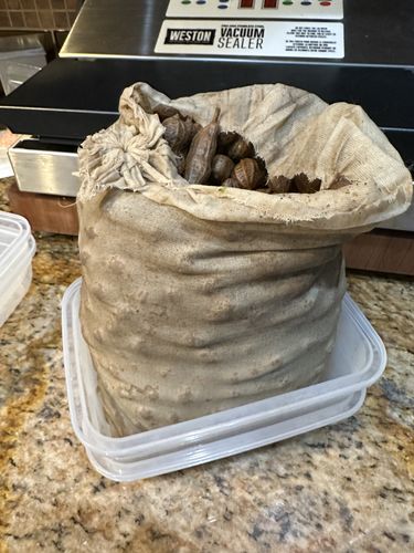 Customer photo review of Boil-The-Bag Peanuts Kit - (2 Bags)