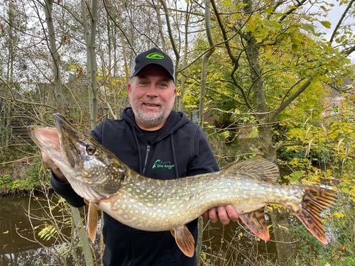 Customer photo review of Lure Drop