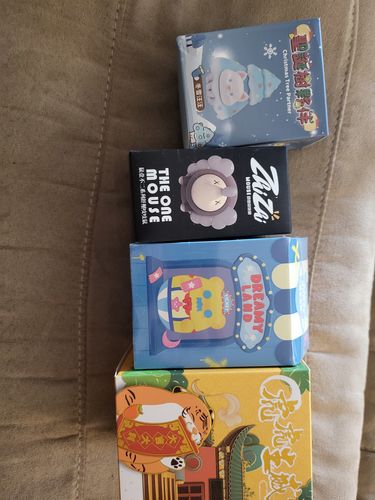 Customer photo review of Sales Promote Mystery Box Only $8.99【Slightly Package Damaged】