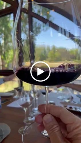 Customer video review of Taça de Cristal Mozart Wine Expressions para Pinot Noir