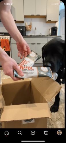 Customer photo review of KA Special Intro DA Box