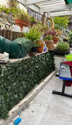 Customer photo review of Fake Ivy Roll 3m x 1m – Instant Artificial Hedge Panel Ivy Roll