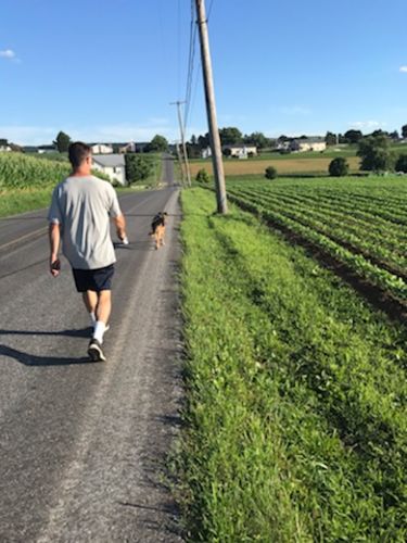 Customer photo review of FIDA AutoBrake Leash