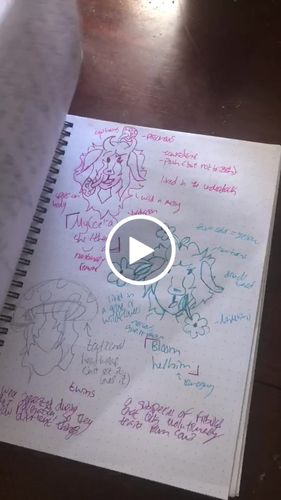 Customer video review of Gasmask Girls Notebook