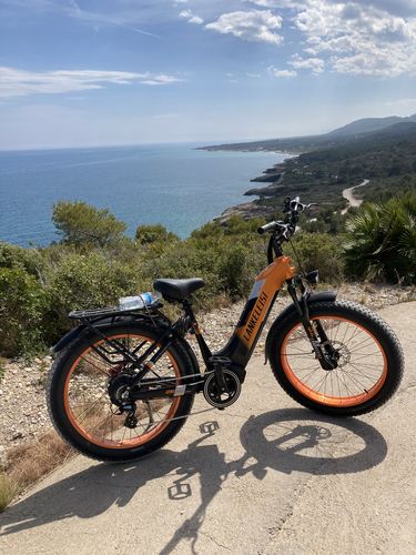 Customer photo review of Lankeleisi MG600 Plus 1000W 26" Fat Bike E Mountain Bike EMTB 20Ah Samsung Battery