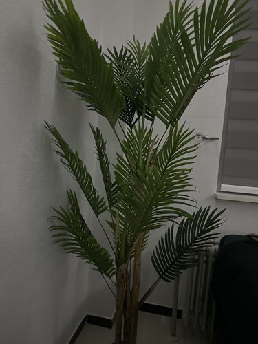 Customer photo review of Kunstpalm Serie B 160cm