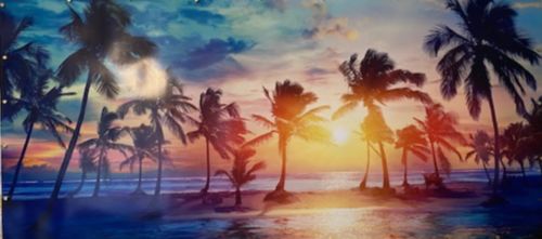 Customer photo review of Poster | Palmen bei Sonnenuntergang | Panorama