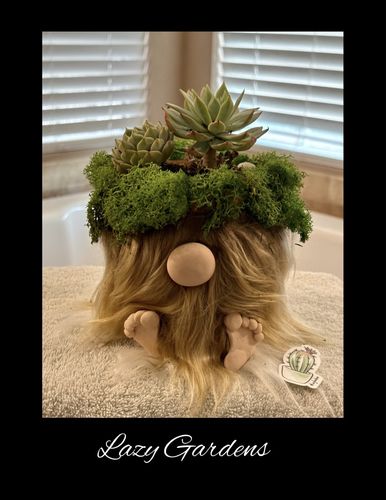 Customer photo review of Painted Lady | Echeveria Derenbergii