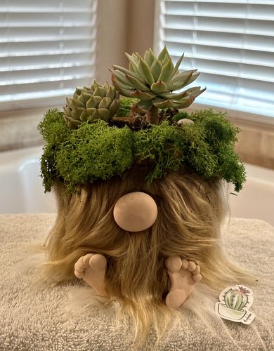 Customer photo review of Mazarine | Echeveria Hybrid