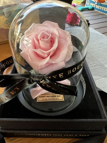 Customer photo review of Mini Everlasting Rose - Pink