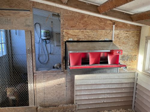 Customer photo review of Medium (34") Reversible Rollout Nest Box (Up to 32 Hens) - Premium Grade -Estimated to ship April 18th