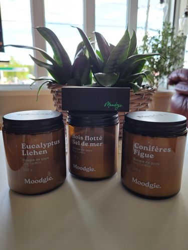 Customer photo review of PRÉCOMMANDE. Trio du dragon