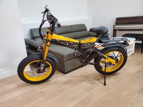 Customer photo review of Lankeleisi X3000 Plus 1000W 20" Fat Bike Dual Crown Fork 17.5Ah Foldable E Mountain Bike EMTB