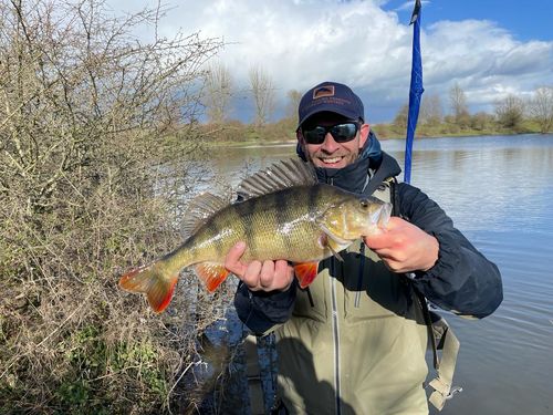 Customer photo review of Lure Drop