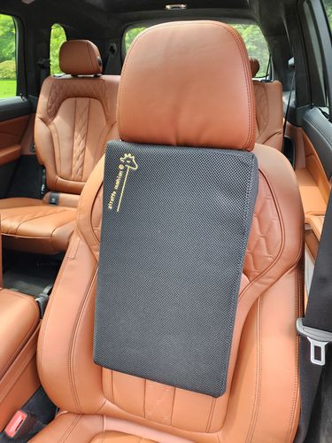 Customer photo review of Giraffe Cushion