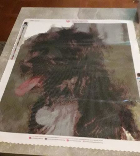 Customer photo review of Diamond Painting Eigenes Foto