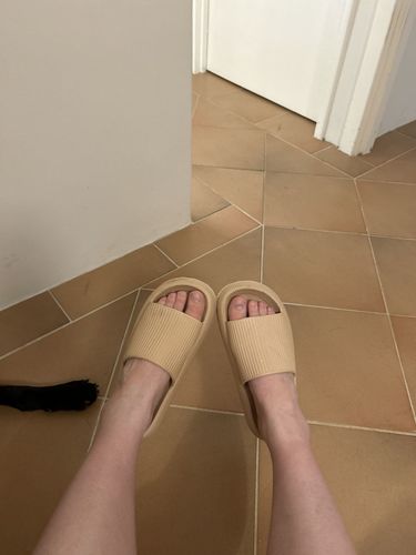 Customer photo review of PrettySlides (ON SALE)