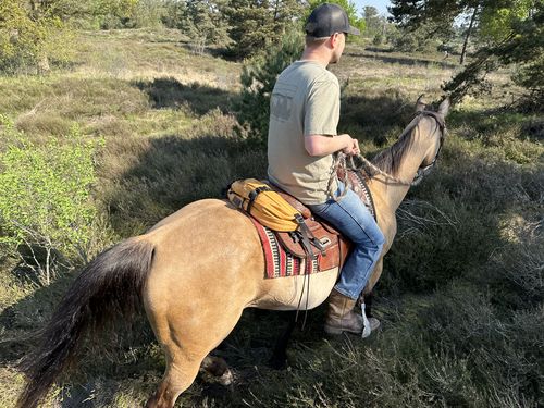 Customer photo review of The Brumby