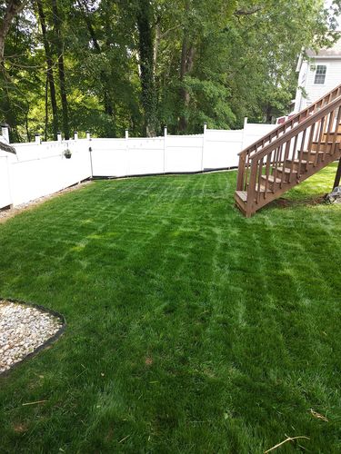 Customer photo review of In Store Blade Sharpening