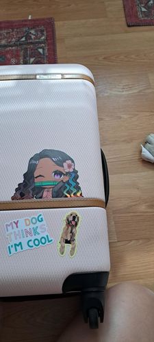 Customer photo review of Pacific Islander Nezuko Car Decal