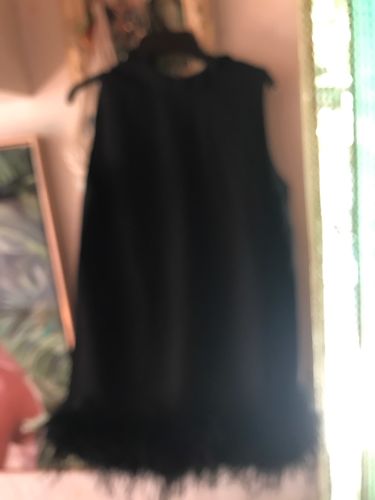 Customer photo review of Belle Feather Fur Dress