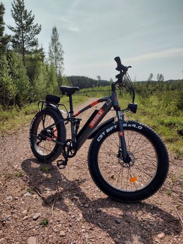 Customer photo review of VAKOLE CO26 26" 750W Fat Bike E Mountain Bike EMTB 15Ah E-bike