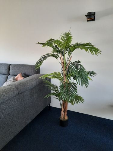 Customer photo review of Kunstpalm Serie B 160cm