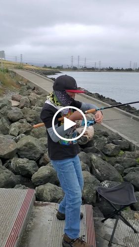 Customer video review of 8Ft No Excuses Travel Rod with Tube Medium Action 1/2oz to 2oz