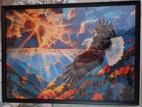 Customer photo review of 5D Diamond Painting AB Steine Adler bei Sonnenuntergang