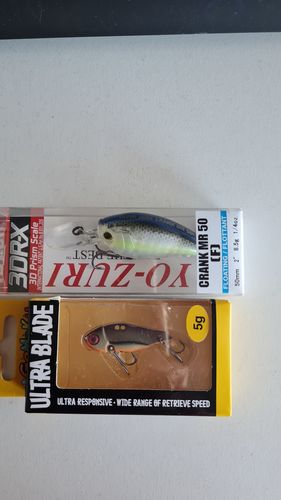 Customer photo review of Lure Drop