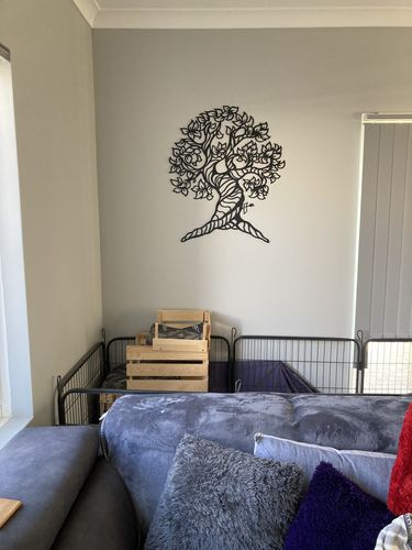 Customer photo review of Orme