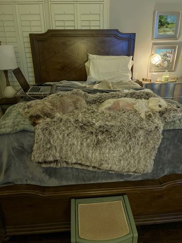 Customer photo review of Sofá relax descanso perfeito para o seu cão ou gato resistente macia e acolhedora